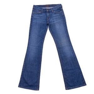 Titan Lowrise Bootcut Jeans
